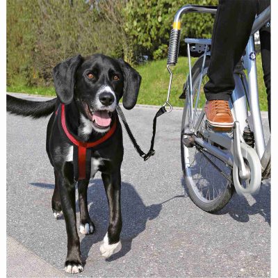 Muelle Amortiguador para Bicicleta Trixie