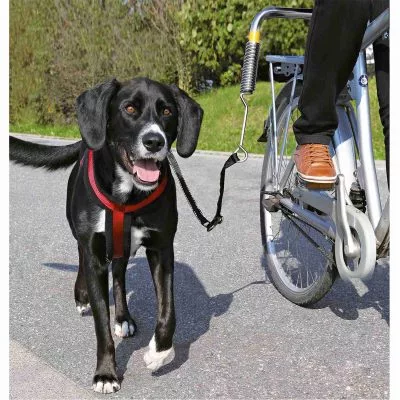 Muelle Amortiguador para Bicicleta Trixie
