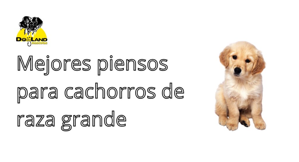 Mejores piensos para cachorros de raza grande