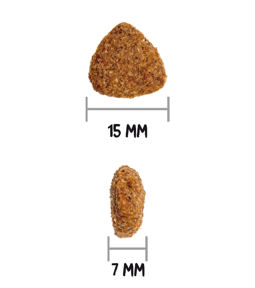 ow-classic-light-dog-croquetaadl.jpg