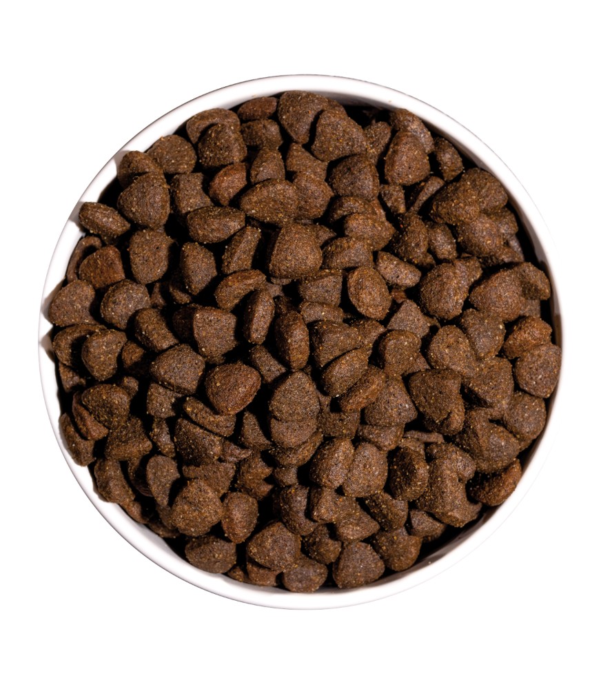 ow-just-grain-free-adult-chicken-dog-platoadl.jpg