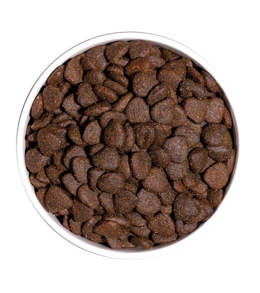 ow-just-grain-free-adult-lamb-platoadl.jpg