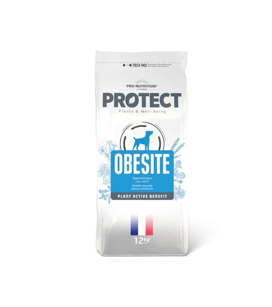 Protect_dog_Obesite_12Kg.jpg