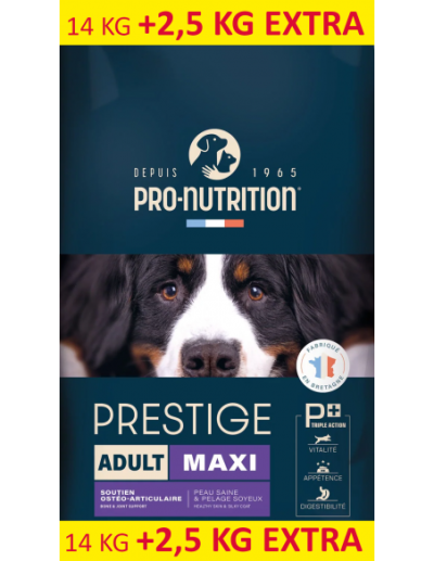 flatazor-prestige-adult-maxi.jpg
