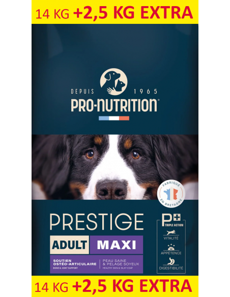 flatazor-prestige-adult-maxi.jpg