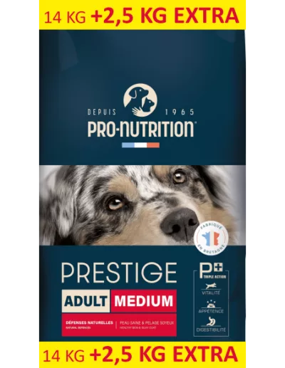 flatazor-prestige-adult-medium.jpg
