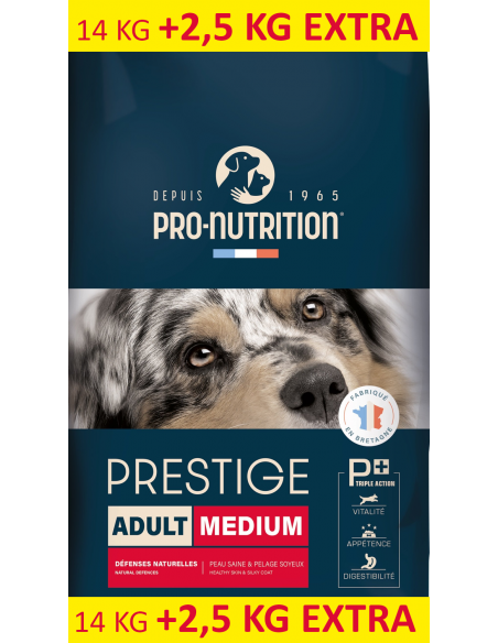 flatazor-prestige-adult-medium.jpg