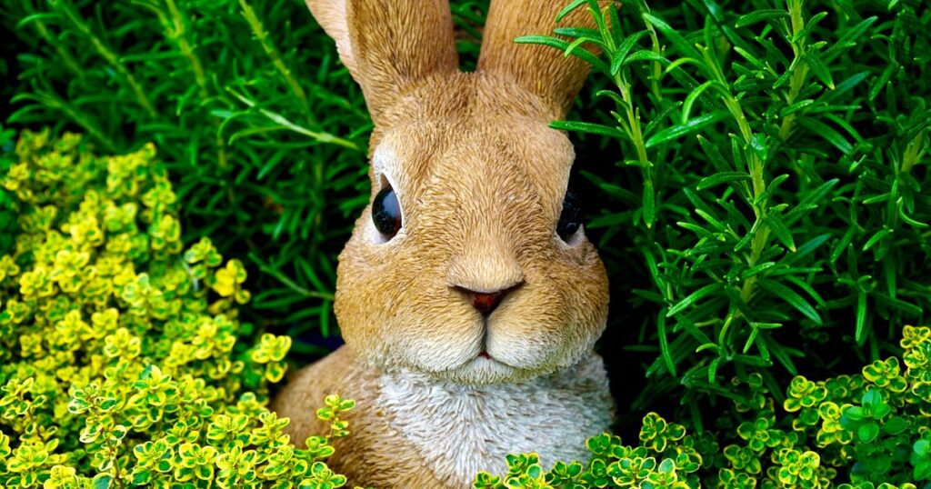 El conejo como mascota: alimentación, hábitat y salud