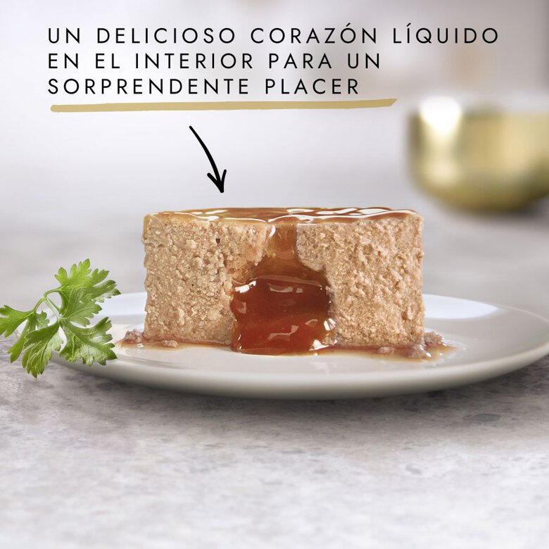 comida_humeda_gatos_gourmet_gold_fondant_multi_sabor_GOU12362265_M2.jpg