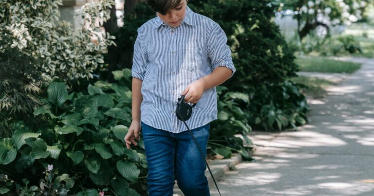 Arnés o collar: cómo elegirlo y pasear bien a tu perro