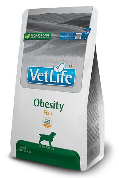 966_34_vet-life-canine-obesity-fishweb.png