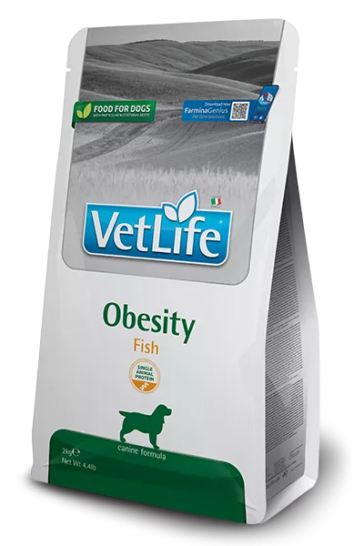 966_34_vet-life-canine-obesity-fishweb.png