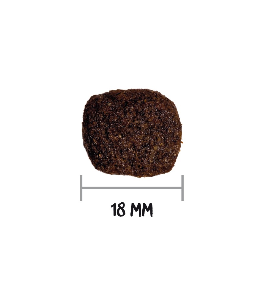 ow-gf-hypo-lamb-croquetaadl.jpg